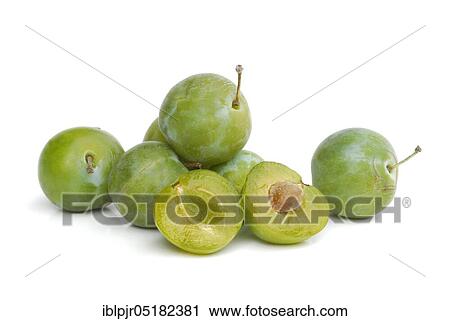Stock Image - Reineclaude, Reneklode, Reneclode, Ringlotte, Prunus domestica (Prunus domestica italica). Fotosearch