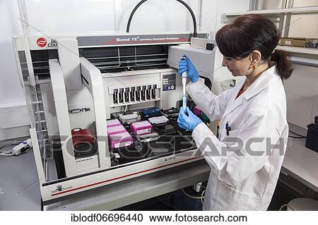 Research assistant at the pipetting robot of the Faculty of Biology at the University of Duisburg-Essen during research work, Essen, North Rhine-Westphalia, Germany, Europe View Large Photo Image Stock Image - Research assistant at the pipetting robot of the Faculty of Biology at the University of Duisburg-Essen during research work, Essen, North Rhine-Westphalia, Germany, Europe. Fotosearch