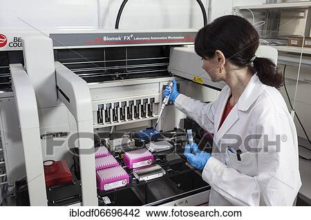 Stock Image - Research assistant at the pipetting robot of the Faculty of Biology at the University of Duisburg-Essen during research work, Essen, North Rhine-Westphalia, Germany, Europe. Fotosearch