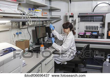 Research assistant at the pipetting robot of the Faculty of Biology at the University of Duisburg-Essen during research work, Essen, North Rhine-Westphalia, Germany, Europe View Large Photo Image Stock Photo - Research assistant at the pipetting robot of the Faculty of Biology at the University of Duisburg-Essen during research work, Essen, North Rhine-Westphalia, Germany, Europe. Fotosearch