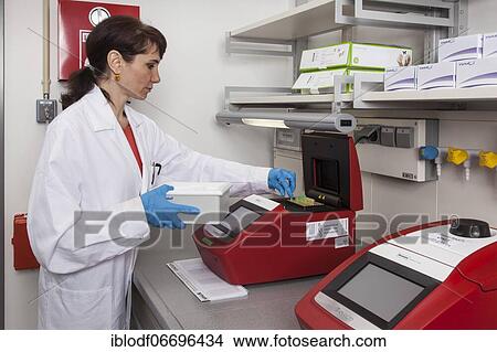 Research assistant at the Thermozykler of the Faculty of Biology at the University of Duisburg-Essen during research work, Essen, North Rhine-Westphalia, Germany, Europe View Large Photo Image Picture - Research assistant at the Thermozykler of the Faculty of Biology at the University of Duisburg-Essen during research work, Essen, North Rhine-Westphalia, Germany, Europe. Fotosearch