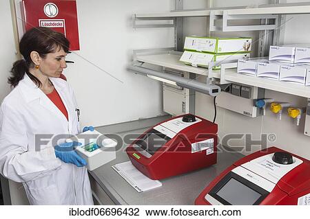 Stock Image - Research assistant at the Thermozykler of the Faculty of Biology at the University of Duisburg-Essen during research work, Essen, North Rhine-Westphalia, Germany, Europe. Fotosearch