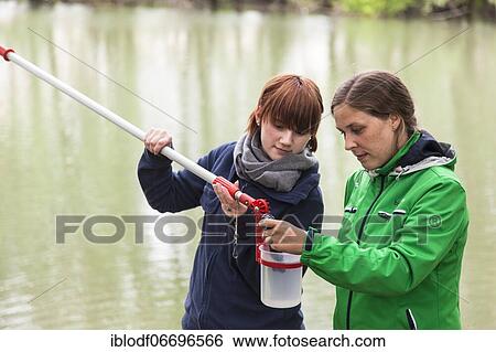 Researchers from Prof. Dr. Jens Boenigk's group at the University of Duisburg-Essen checking water samples near Grietherbusch on the Lower Rhine, North Rhine-Westphalia, Germany, Europe View Large Photo Image Stock Photograph - Researchers from Prof. Dr. Jens Boenigk's group at the University of Duisburg-Essen checking water samples near Grietherbusch on the Lower Rhine, North Rhine-Westphalia, Germany, Europe. Fotosearch