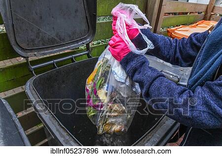 Residual waste bin, Berlin, Germany, Europe View Large Photo Image Stock Photograph - Residual waste bin, Berlin, Germany, Europe. Fotosearch