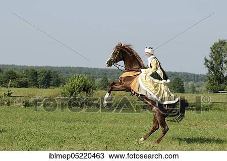 Stock Image - Rider with historical dress, on rising Arabian thoroughbred, stallion. Fotosearch