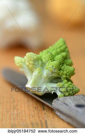 Romanesco cabbage with knife, green Cauliflower ( Braßica oleracea var. botrytis) (, ) View Large Photo Image Stock Image - Romanesco cabbage with knife, green Cauliflower ( Braßica oleracea var. botrytis) (, ). Fotosearch
