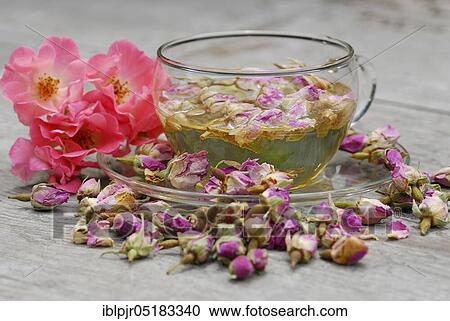 Stock Image - Rose tea in cup and rose buds, rose petals, rose blossom tea. Fotosearch