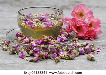 Stock Image - Rose tea in cup and rose buds, rose petals, rose blossom tea. Fotosearch