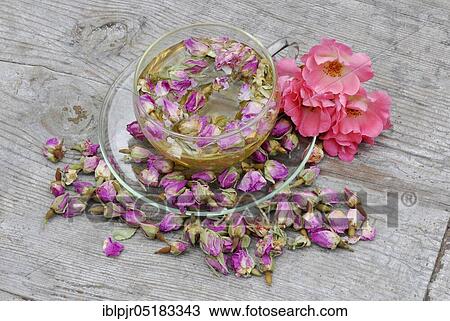 Stock Image - Rose tea in cup and rose buds, rose petals, rose blossom tea. Fotosearch