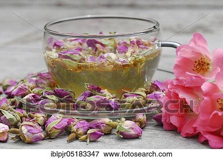Stock Photo - Rose tea in cup and rose buds, rose petals, rose blossom tea. Fotosearch