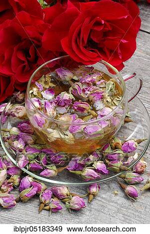 Stock Photo - Rose tea in cup and rose buds, rose petals, rose blossom tea. Fotosearch