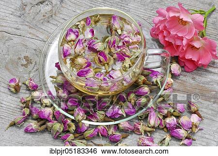 Stock Photograph - Rose tea in cup and rose buds, rose petals, rose blossom tea. Fotosearch