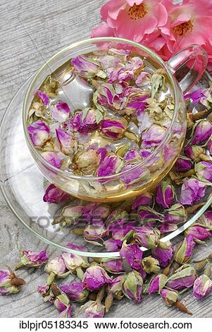 Stock Photography - Rose tea in cup and rose buds, rose petals, rose blossom tea. Fotosearch