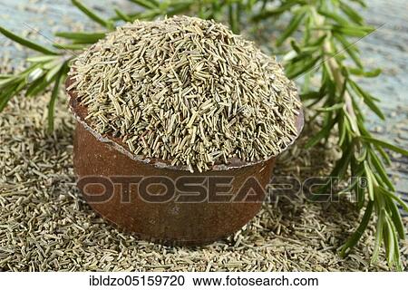 Rosemary (Rosmarinus officinalis) View Large Photo Image Stock Image - Rosemary (Rosmarinus officinalis). Fotosearch