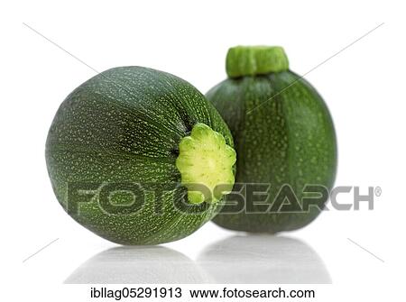 ROUND CUCCHINES OR CUCCHINI (cucurbita pepo) View Large Photo Image Stock Image - ROUND CUCCHINES OR CUCCHINI (cucurbita pepo). Fotosearch