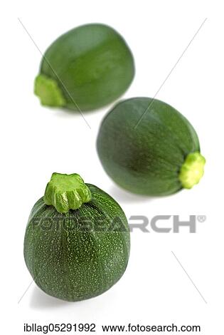 Round zucchini or courgettes (cucurbita pepo) against a white background View Large Photo Image Stock Image - Round zucchini or courgettes (cucurbita pepo) against a white background. Fotosearch