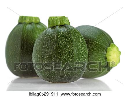Round zucchini or courgettes, vegetables against white background View Large Photo Image Stock Image - Round zucchini or courgettes, vegetables against white background. Fotosearch