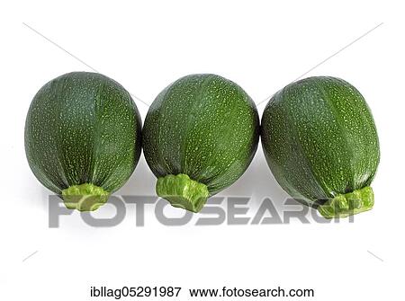 Round zucchini or courgettes, vegetables against white background View Large Photo Image Stock Photo - Round zucchini or courgettes, vegetables against white background. Fotosearch