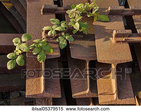 Rusty steel beams, H-beams, H-beams View Large Photo Image Stock Photography - Rusty steel beams, H-beams, H-beams. Fotosearch