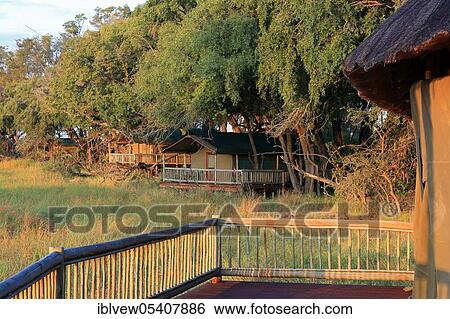 Safari Lodge, Safari Tent, Okavango Delta, Botswana, Africa View Large Photo Image Stock Photograph - Safari Lodge, Safari Tent, Okavango Delta, Botswana, Africa. Fotosearch