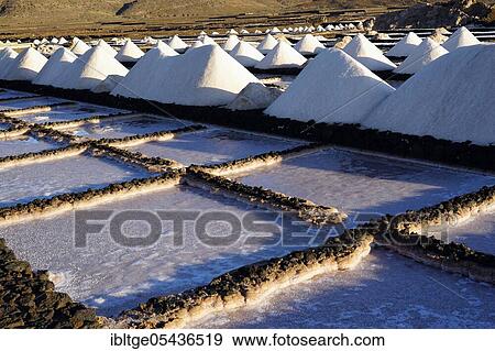 Salinas de Janubio, salt flats, Lanzarote, Canary Islands, Spain, Europe View Large Photo Image Stock Photo - Salinas de Janubio, salt flats, Lanzarote, Canary Islands, Spain, Europe. Fotosearch