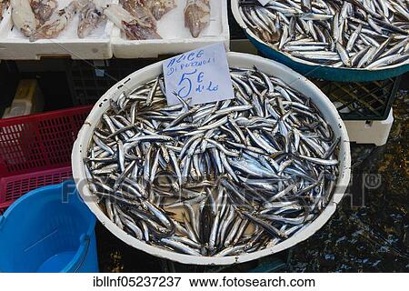 Sardines, fish shop, weekly market market, La Pignasecca, Spanish Quarter, Naples, Italy, Europe View Large Photo Image Stock Photo - Sardines, fish shop, weekly market market, La Pignasecca, Spanish Quarter, Naples, Italy, Europe. Fotosearch