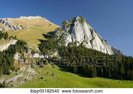 Schafberg, Wildhauser, 2363 m, near Wildhaus, Toggenburg, Canton St. Gallen, Switzerland, Europe View Large Photo Image Stock Image - Schafberg, Wildhauser, 2363 m, near Wildhaus, Toggenburg, Canton St. Gallen, Switzerland, Europe. Fotosearch