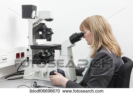 Scientist at an inverted microscope in the Faculty of Biology at the University of Duisburg-Essen View Large Photo Image Stock Image - Scientist at an inverted microscope in the Faculty of Biology at the University of Duisburg-Essen. Fotosearch