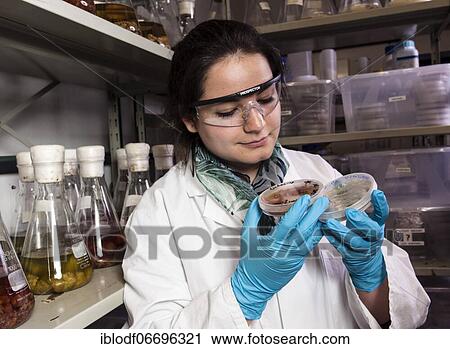 Scientist examining samples in the fungus room at the Institute of Pharmaceutical Biology and Biotechnology at Heinrich Heine University Düsseldorf, North Rhine-Westphalia, Germany, Europe View Large Photo Image Stock Image - Scientist examining samples in the fungus room at the Institute of Pharmaceutical Biology and Biotechnology at Heinrich Heine University Düsseldorf, North Rhine-Westphalia, Germany, Europe. Fotosearch