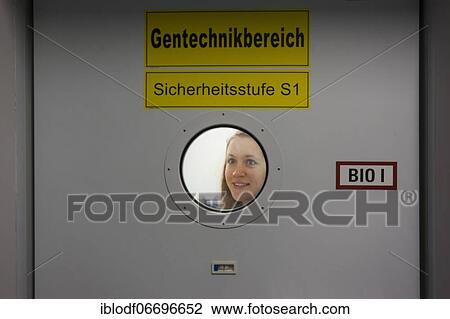 Stock Image - Scientist in the cold room at 4 degrees in the genetic engineering department in the faculty of biology at the University of Duisburg-Essen. Fotosearch