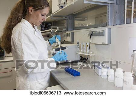 Stock Image - Scientist of biology pipetting in the genetic engineering area of the laboratories of the University of Duisburg-Essen. Fotosearch