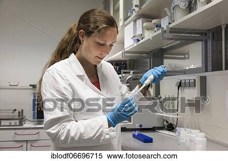 Scientist of biology pipetting in the genetic engineering area of the laboratories of the University of Duisburg-Essen View Large Photo Image Stock Photography - Scientist of biology pipetting in the genetic engineering area of the laboratories of the University of Duisburg-Essen. Fotosearch