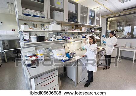Scientist with a Petri dish containing a transformation of (E. ) coli bacteria View Large Photo Image Stock Photo - Scientist with a Petri dish containing a transformation of (E. ) coli bacteria. Fotosearch