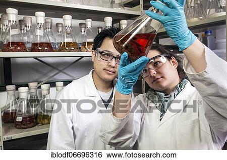 Scientists examine samples in the fungus room at the Institute for Pharmaceutical Biology and Biotechnology at Heinrich Heine University Düsseldorf, North Rhine-Westphalia, Germany, Europe View Large Photo Image Stock Photograph - Scientists examine samples in the fungus room at the Institute for Pharmaceutical Biology and Biotechnology at Heinrich Heine University Düsseldorf, North Rhine-Westphalia, Germany, Europe. Fotosearch