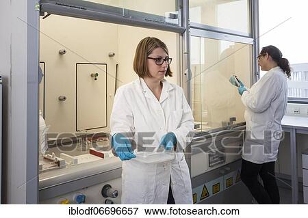 Stock Photo - Scientists in the poison room or laboratory with ethidium bromide during a DNA gel electrophoresis for the detection of nucleic acids in the Faculty of Biology at the University of Duisburg-Essen. Fotosearch