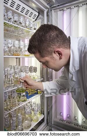 Scientists of biology at an incubator in the genetic engineering area of the laboratories of the University of Duisburg-Essen View Large Photo Image Stock Image - Scientists of biology at an incubator in the genetic engineering area of the laboratories of the University of Duisburg-Essen. Fotosearch