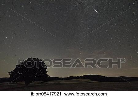 Shooting stars, meteor, perseids, oak (Quercus), Münden nature park Park, Münden, Lower Saxony, Germany, Europe View Large Photo Image Stock Image - Shooting stars, meteor, perseids, oak (Quercus), Münden nature park Park, Münden, Lower Saxony, Germany, Europe. Fotosearch