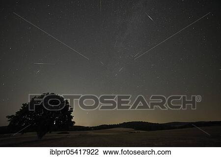 Shooting stars, meteor, perseids, oak (Quercus), Münden nature park Park, Münden, Lower Saxony, Germany, Europe View Large Photo Image Stock Image - Shooting stars, meteor, perseids, oak (Quercus), Münden nature park Park, Münden, Lower Saxony, Germany, Europe. Fotosearch