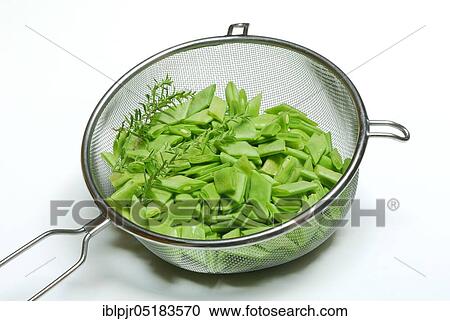 Sliced broad beans with savory in kitchen sieve View Large Photo Image Stock Image - Sliced broad beans with savory in kitchen sieve. Fotosearch