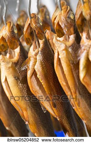 Smoked trout, smoked, smoked, Lower Saxony, Germany, Europe View Large Photo Image Stock Image - Smoked trout, smoked, smoked, Lower Saxony, Germany, Europe. Fotosearch