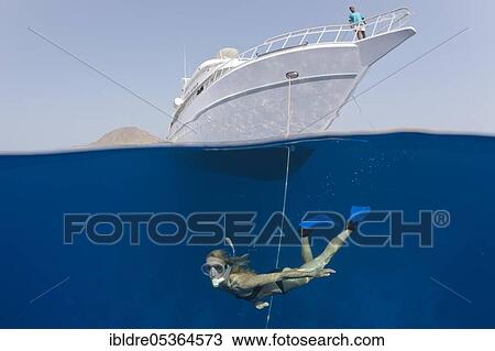 Stock Image - Snorkeling in front of safari ship, Zabargad, Red Sea, Egypt, Africa. Fotosearch