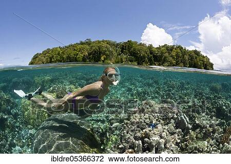 Snorkeling in shallow water, Marovo Lagoon, Solomon Islands, Oceania View Large Photo Image Stock Image - Snorkeling in shallow water, Marovo Lagoon, Solomon Islands, Oceania. Fotosearch
