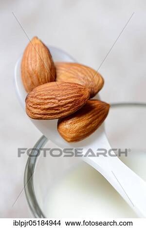 Picture - Spoon with almonds on glass of milk( Prunus dulcis), sweet almond. Fotosearch