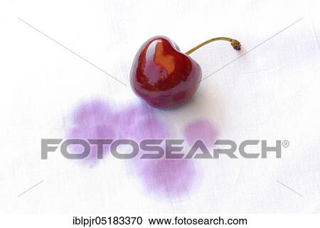 Stain, stains, cherry stain on fabric, cherry stain, cherry, cherry View Large Photo Image Stock Image - Stain, stains, cherry stain on fabric, cherry stain, cherry, cherry. Fotosearch