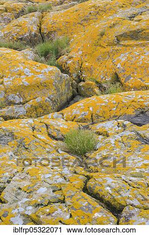 Stock Image - Staple Island, Great Britain. Fotosearch