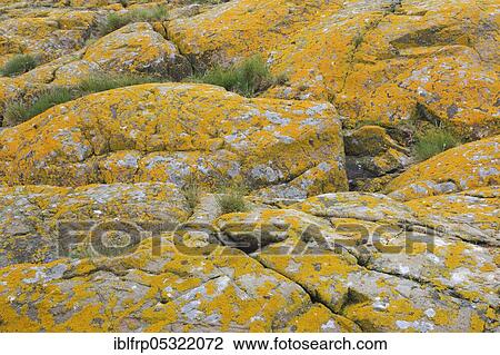 Staple Island, Great Britain View Large Photo Image Stock Image - Staple Island, Great Britain. Fotosearch