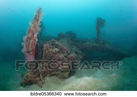 Stock Image - Star engine of the Dauntless Dive Bomber aircraft wreck, Marovo Lagoon, Solomon Islands, Oceania. Fotosearch