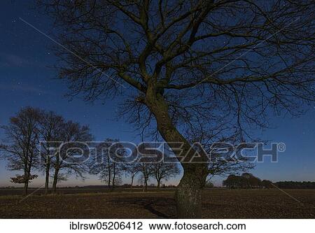 Stock Image - Starry sky, Lower Saxony, Germany, Europe. Fotosearch