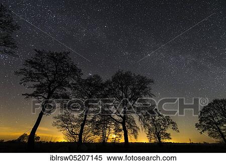 Stock Photography - Starry sky, Lower Saxony, Germany, Europe. Fotosearch