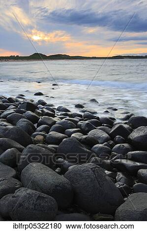 Stock Image - Stony beach in Northumberland, Great Britain. Fotosearch